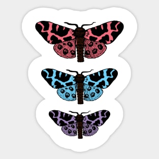 Cute Moth Sticker